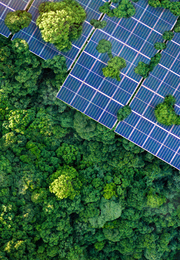 Sustainability Services