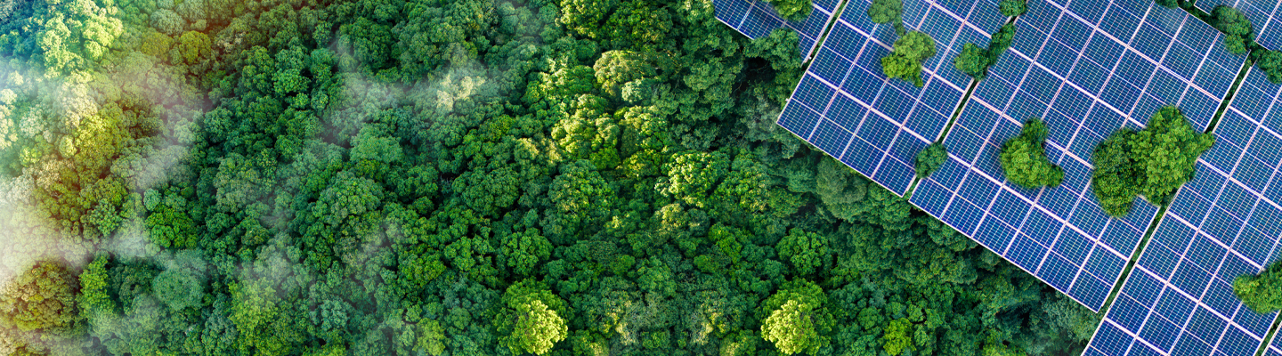 Sustainability Services